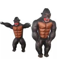 Party Active Festival costume