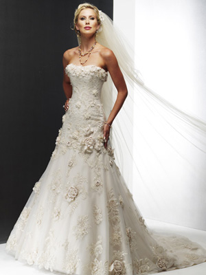 Strapless Slim A-line Tulle Lace Wedding Dresses (SR0144)