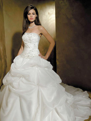 Ball Gown Wedding Dresses WD1138