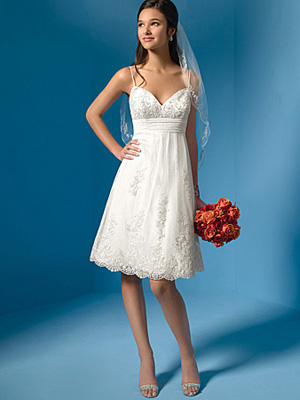 Empire Wedding Dresses WD3558