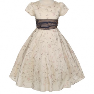 Ivory Taffeta dress with embroidery
